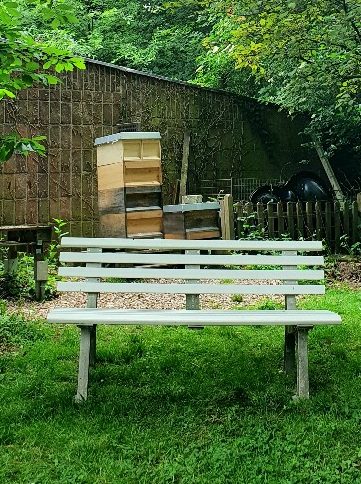 Ein lauschiges Plätzchen haben die Bienenvölker im Kirchgarten.